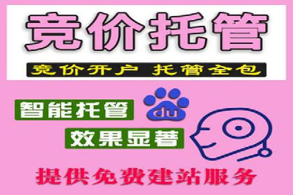 某电商平台的SEM推广实战经验